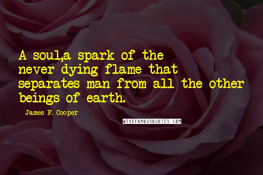 James F. Cooper Quotes: A soul,a spark of the never-dying flame that separates man from all the other beings of earth.