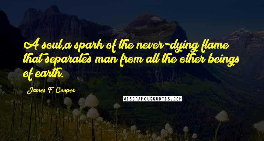 James F. Cooper Quotes: A soul,a spark of the never-dying flame that separates man from all the other beings of earth.