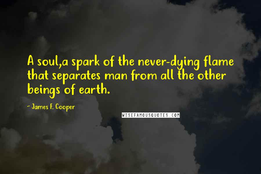 James F. Cooper Quotes: A soul,a spark of the never-dying flame that separates man from all the other beings of earth.