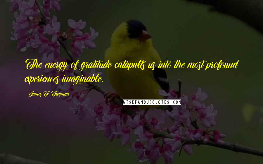 James F. Twyman Quotes: The energy of gratitude catapults us into the most profound experiences imaginable.