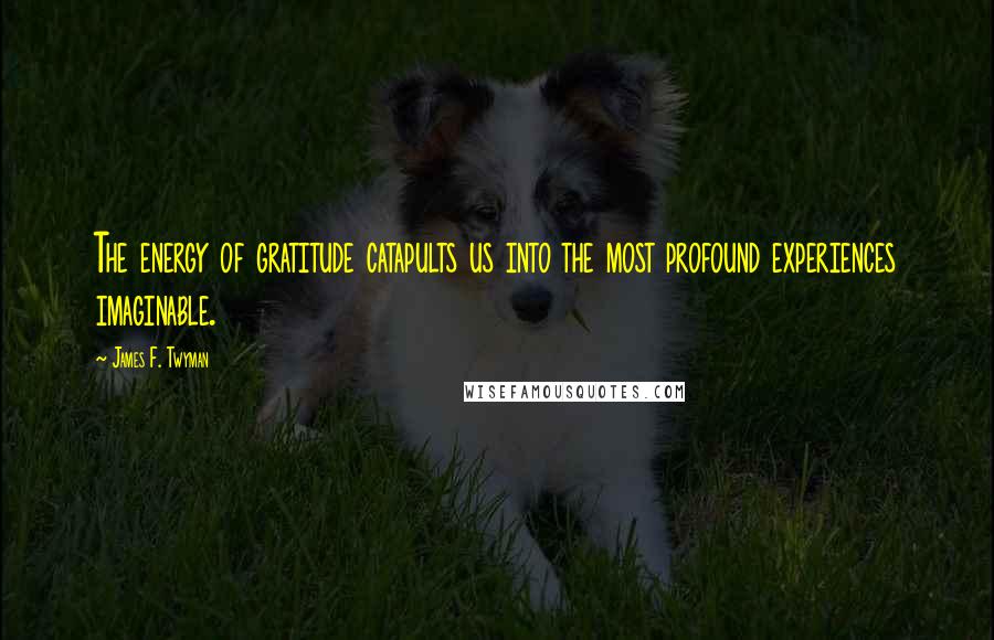 James F. Twyman Quotes: The energy of gratitude catapults us into the most profound experiences imaginable.