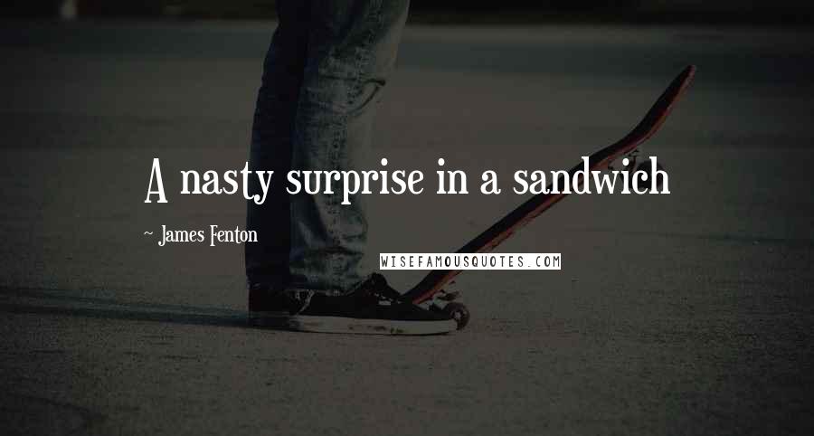 James Fenton Quotes: A nasty surprise in a sandwich