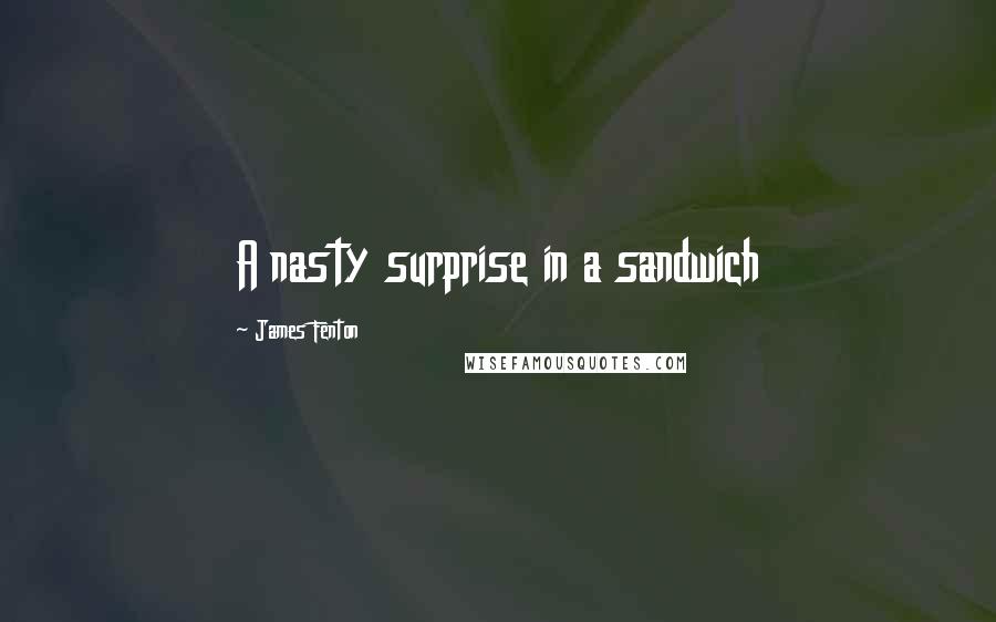 James Fenton Quotes: A nasty surprise in a sandwich
