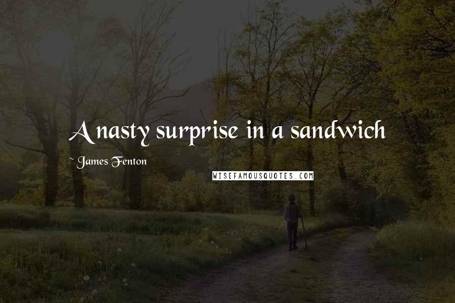 James Fenton Quotes: A nasty surprise in a sandwich