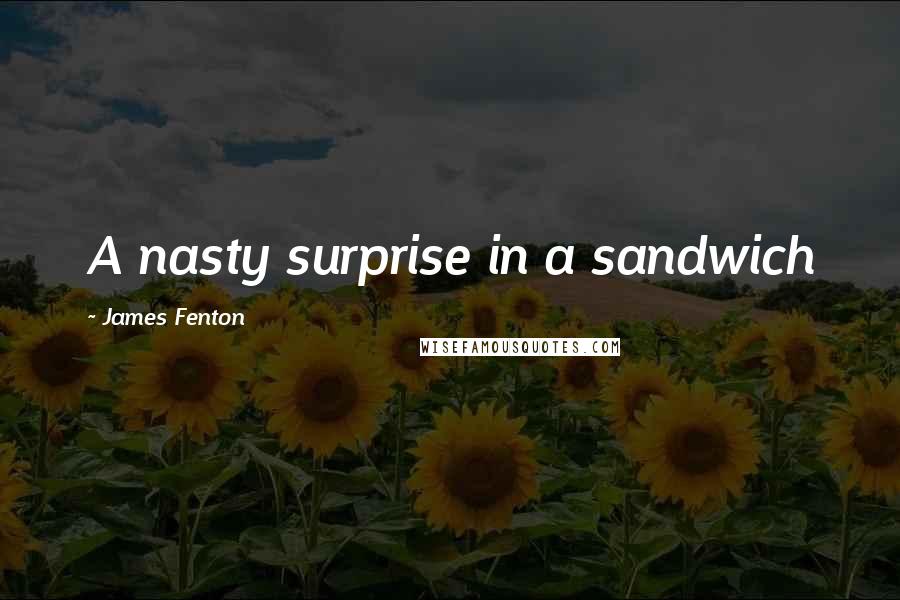 James Fenton Quotes: A nasty surprise in a sandwich