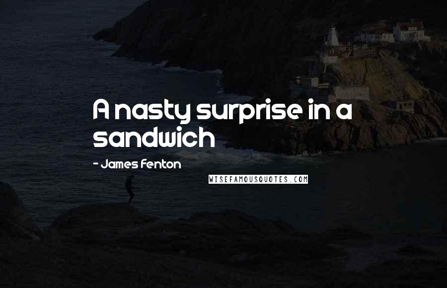 James Fenton Quotes: A nasty surprise in a sandwich