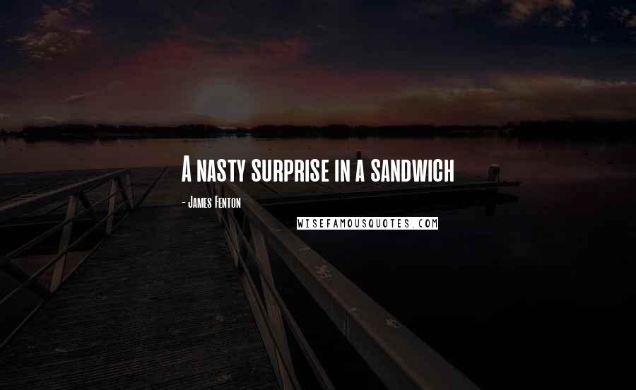 James Fenton Quotes: A nasty surprise in a sandwich