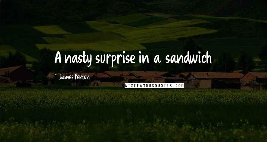 James Fenton Quotes: A nasty surprise in a sandwich