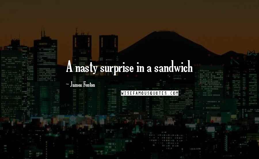 James Fenton Quotes: A nasty surprise in a sandwich