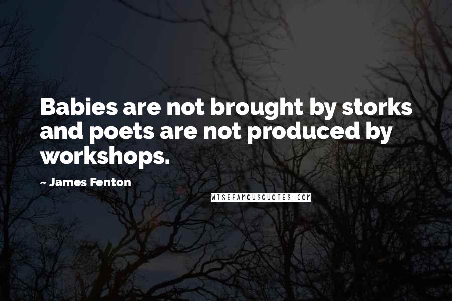 James Fenton Quotes: Babies are not brought by storks and poets are not produced by workshops.
