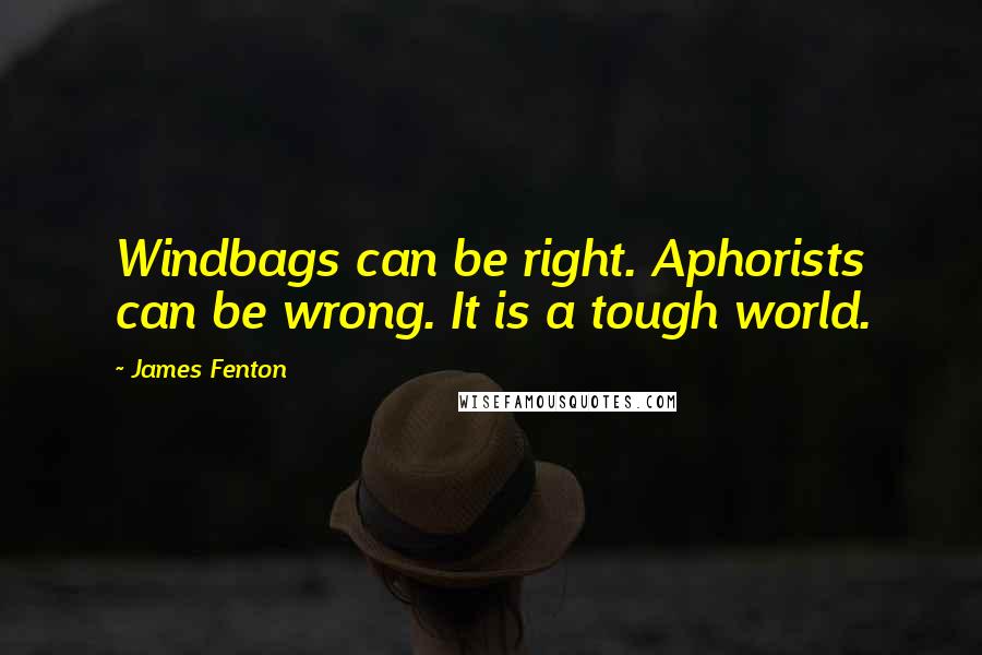 James Fenton Quotes: Windbags can be right. Aphorists can be wrong. It is a tough world.
