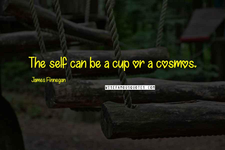 James Finnegan Quotes: The self can be a cup or a cosmos.