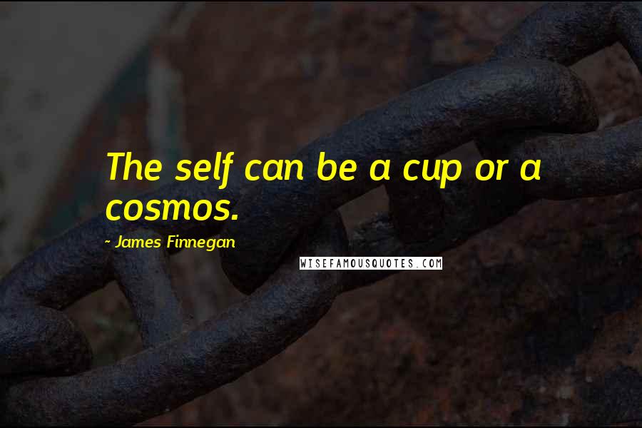 James Finnegan Quotes: The self can be a cup or a cosmos.