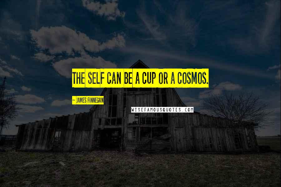 James Finnegan Quotes: The self can be a cup or a cosmos.