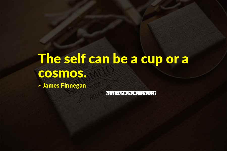 James Finnegan Quotes: The self can be a cup or a cosmos.