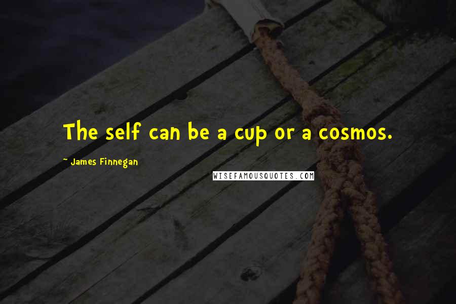 James Finnegan Quotes: The self can be a cup or a cosmos.