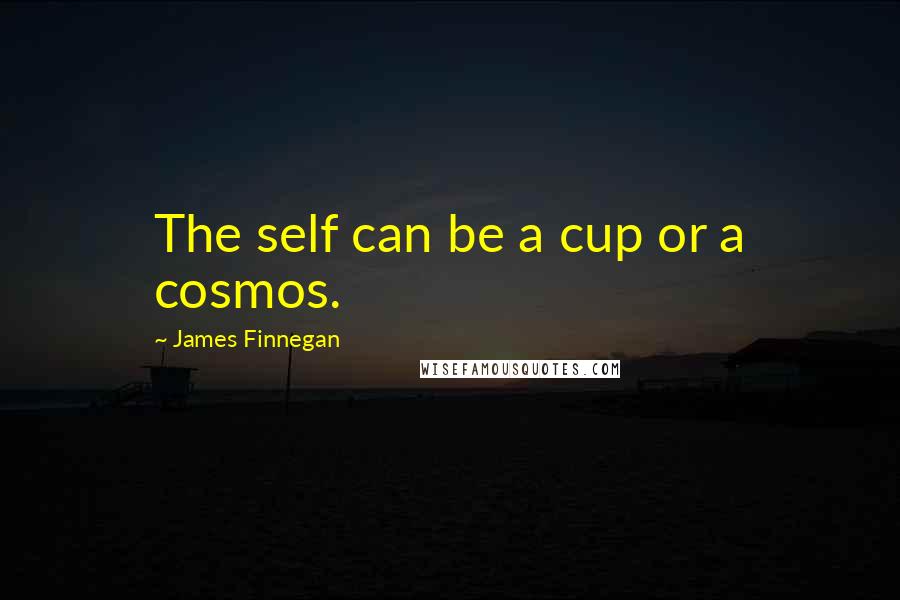 James Finnegan Quotes: The self can be a cup or a cosmos.