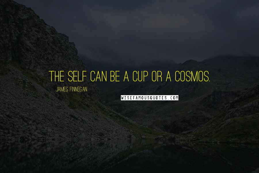James Finnegan Quotes: The self can be a cup or a cosmos.