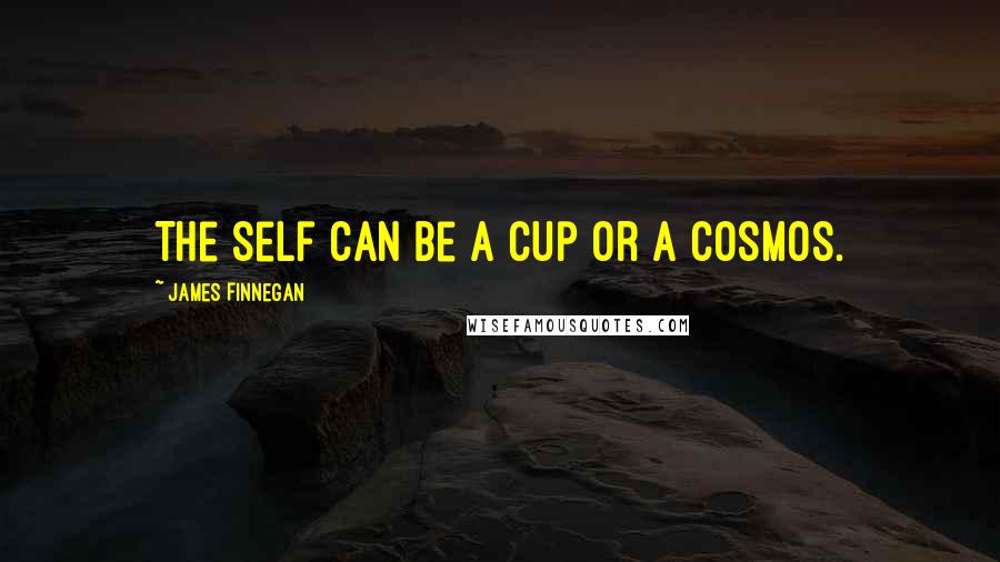 James Finnegan Quotes: The self can be a cup or a cosmos.