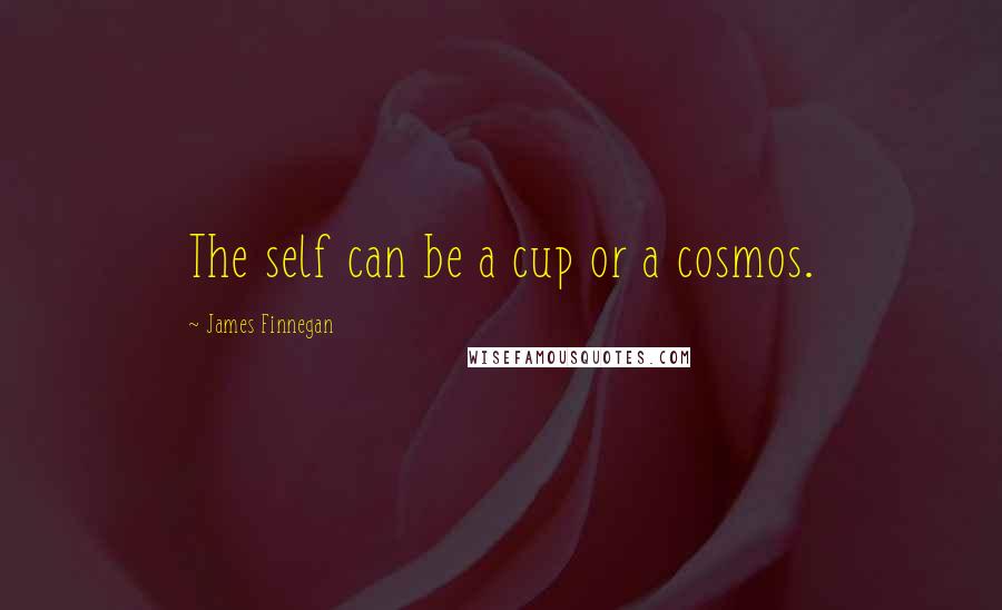 James Finnegan Quotes: The self can be a cup or a cosmos.