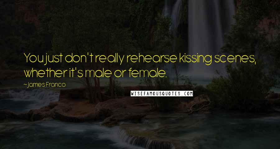 James Franco Quotes: You just don't really rehearse kissing scenes, whether it's male or female.