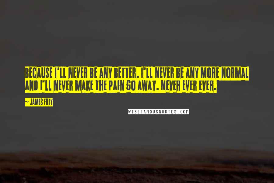 James Frey Quotes: Because I'll never be any better. I'll never be any more normal and I'll never make the pain go away. Never ever ever.