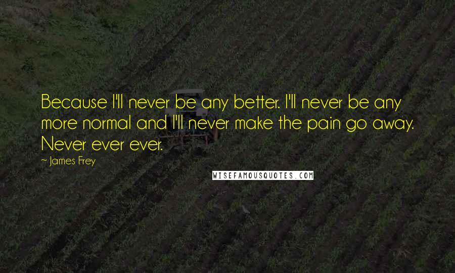 James Frey Quotes: Because I'll never be any better. I'll never be any more normal and I'll never make the pain go away. Never ever ever.