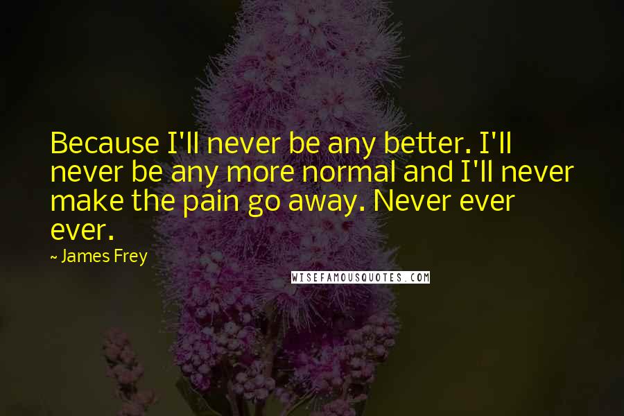 James Frey Quotes: Because I'll never be any better. I'll never be any more normal and I'll never make the pain go away. Never ever ever.