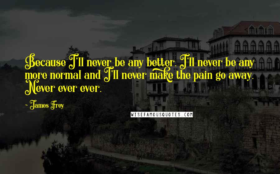 James Frey Quotes: Because I'll never be any better. I'll never be any more normal and I'll never make the pain go away. Never ever ever.