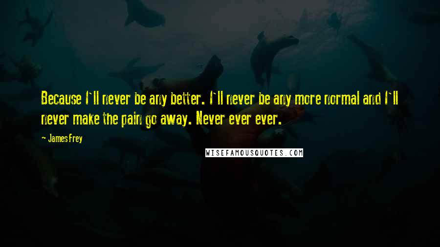 James Frey Quotes: Because I'll never be any better. I'll never be any more normal and I'll never make the pain go away. Never ever ever.