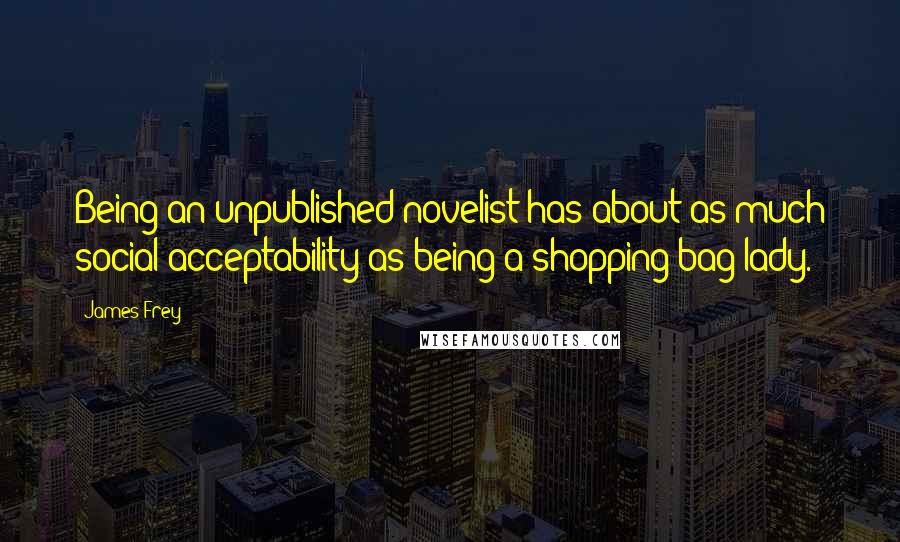 James Frey Quotes: Being an unpublished novelist has about as much social acceptability as being a shopping bag lady.