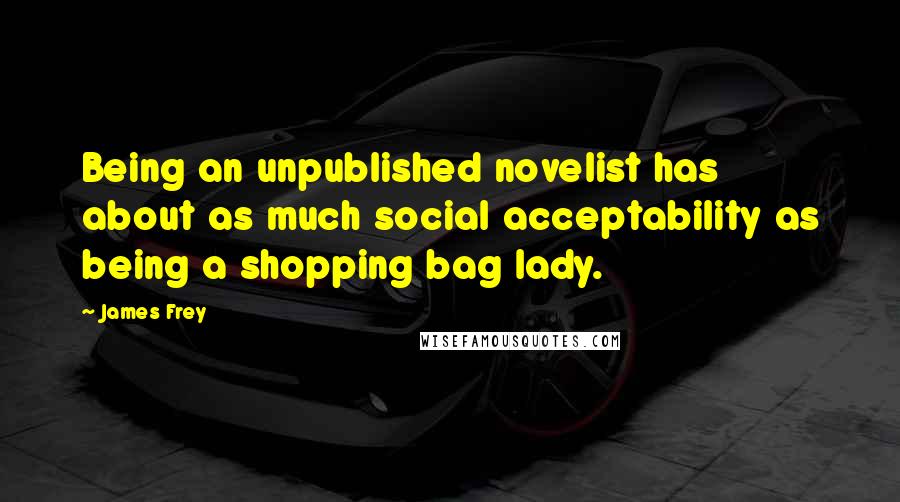 James Frey Quotes: Being an unpublished novelist has about as much social acceptability as being a shopping bag lady.