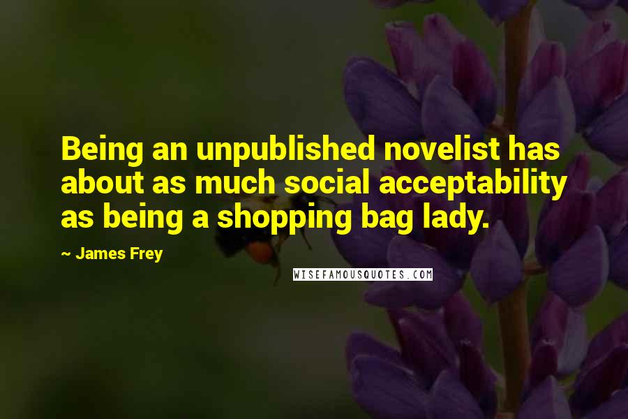 James Frey Quotes: Being an unpublished novelist has about as much social acceptability as being a shopping bag lady.