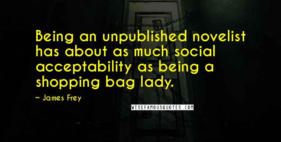 James Frey Quotes: Being an unpublished novelist has about as much social acceptability as being a shopping bag lady.