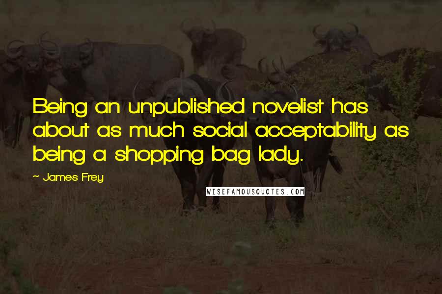 James Frey Quotes: Being an unpublished novelist has about as much social acceptability as being a shopping bag lady.