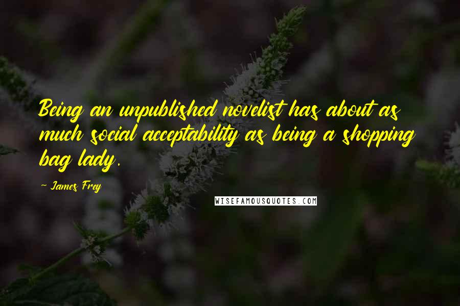 James Frey Quotes: Being an unpublished novelist has about as much social acceptability as being a shopping bag lady.