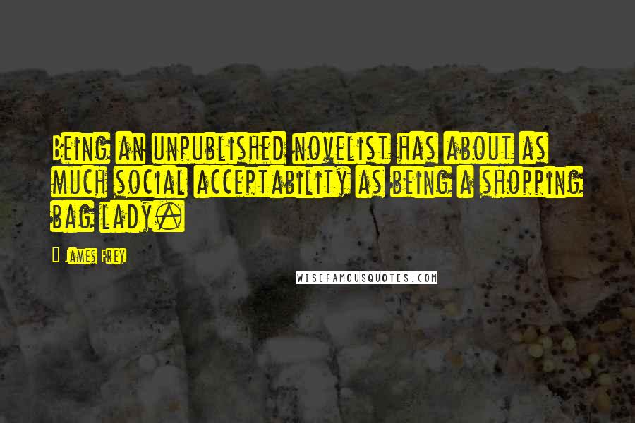 James Frey Quotes: Being an unpublished novelist has about as much social acceptability as being a shopping bag lady.