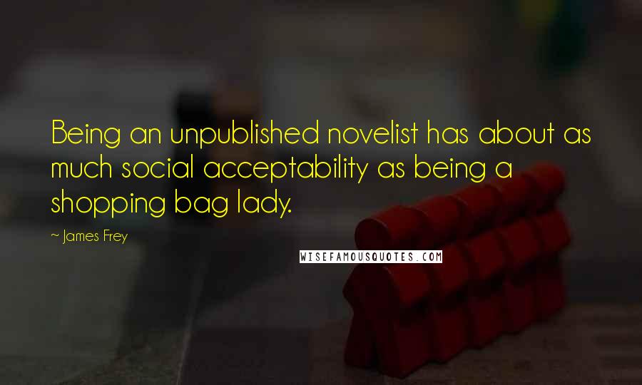 James Frey Quotes: Being an unpublished novelist has about as much social acceptability as being a shopping bag lady.