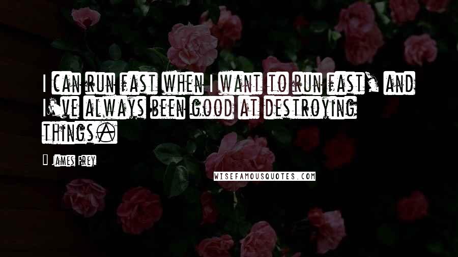 James Frey Quotes: I can run fast when I want to run fast, and I've always been good at destroying things.