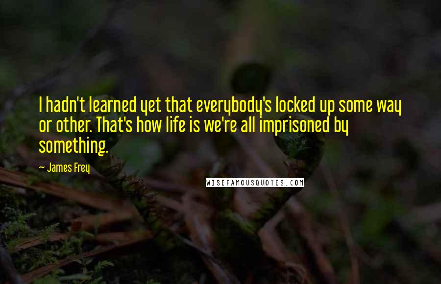 James Frey Quotes: I hadn't learned yet that everybody's locked up some way or other. That's how life is we're all imprisoned by something.