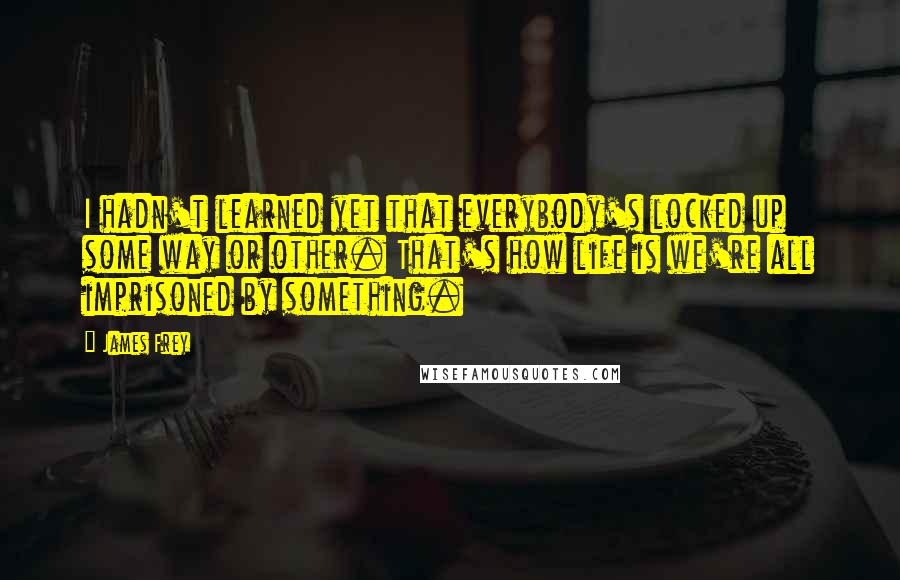 James Frey Quotes: I hadn't learned yet that everybody's locked up some way or other. That's how life is we're all imprisoned by something.