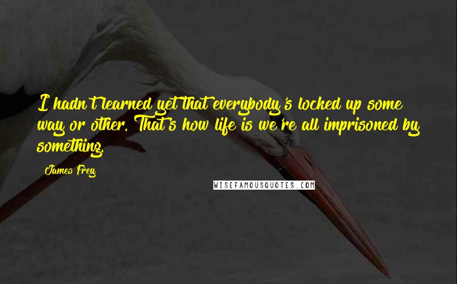 James Frey Quotes: I hadn't learned yet that everybody's locked up some way or other. That's how life is we're all imprisoned by something.