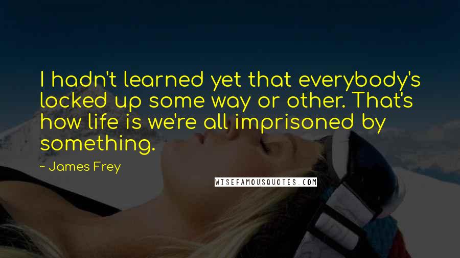 James Frey Quotes: I hadn't learned yet that everybody's locked up some way or other. That's how life is we're all imprisoned by something.