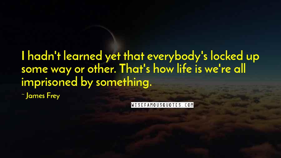 James Frey Quotes: I hadn't learned yet that everybody's locked up some way or other. That's how life is we're all imprisoned by something.