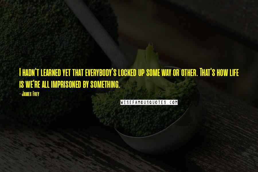 James Frey Quotes: I hadn't learned yet that everybody's locked up some way or other. That's how life is we're all imprisoned by something.