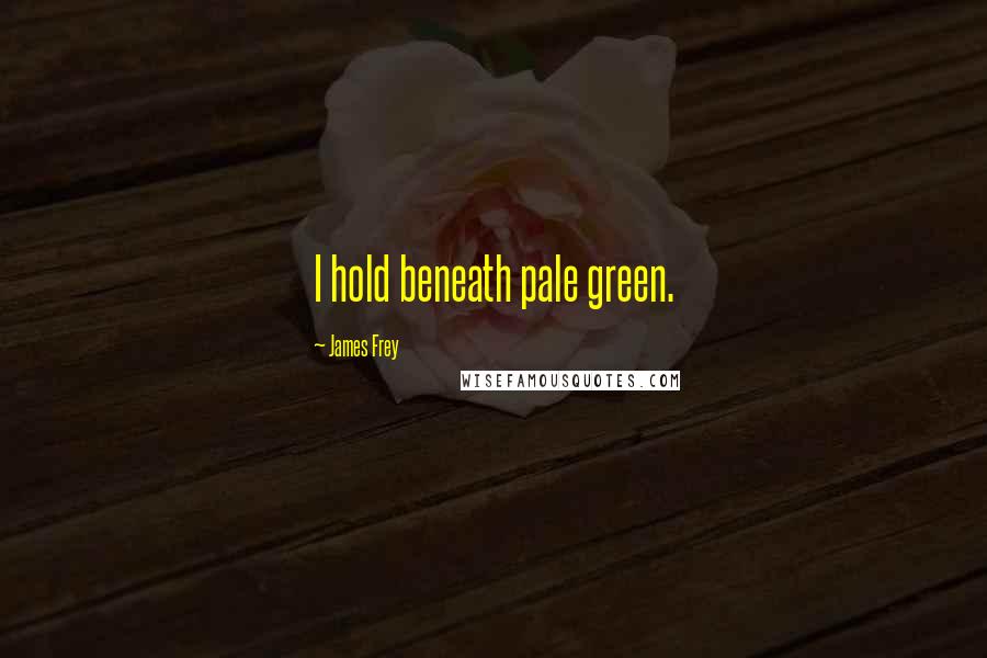 James Frey Quotes: I hold beneath pale green.