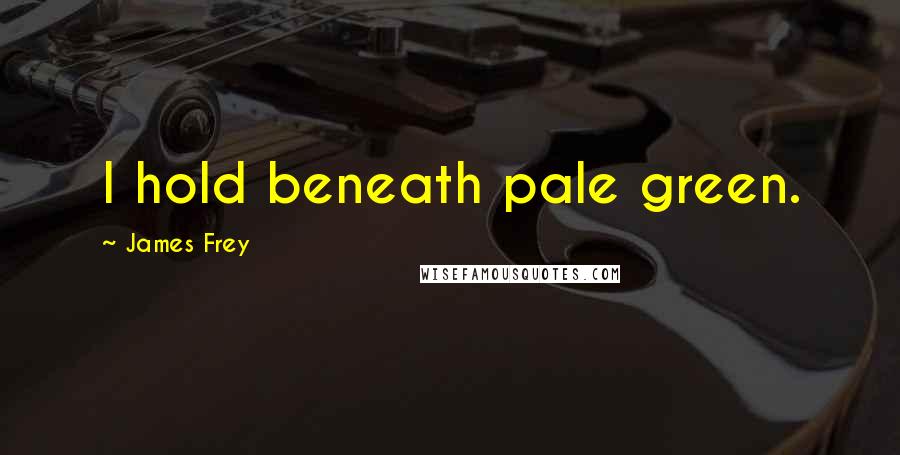 James Frey Quotes: I hold beneath pale green.