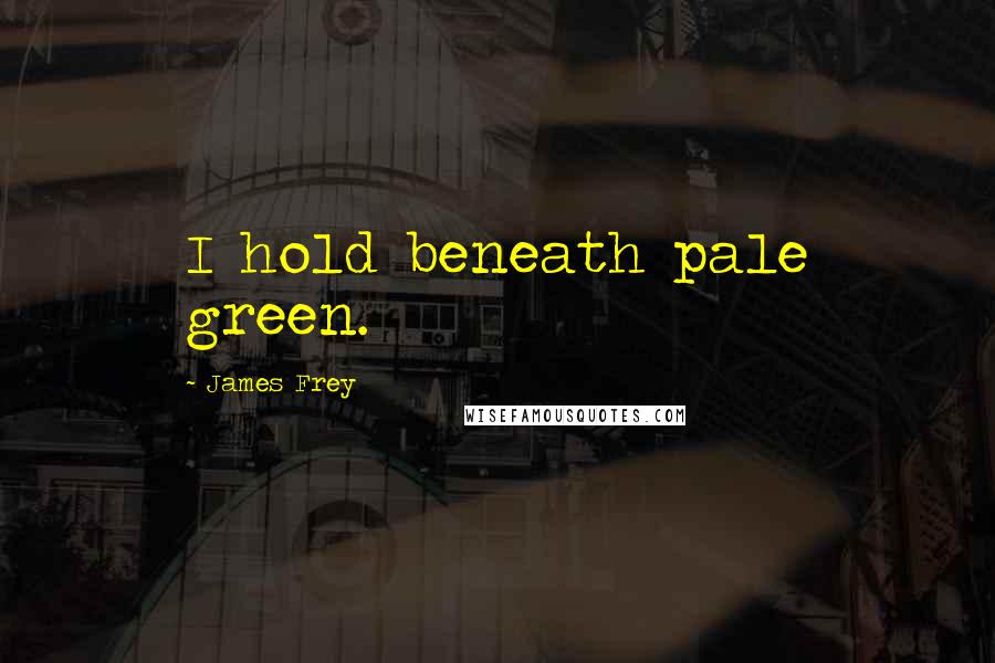 James Frey Quotes: I hold beneath pale green.