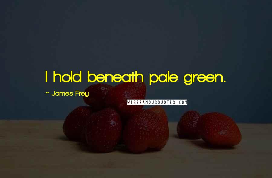James Frey Quotes: I hold beneath pale green.