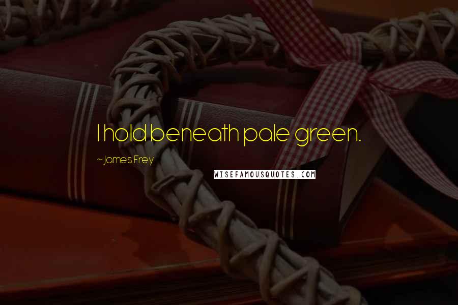 James Frey Quotes: I hold beneath pale green.